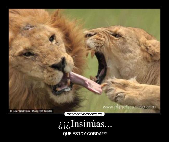 carteles gorda pelea pareja desmotivaciones