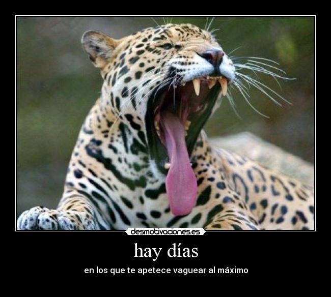 hay días -
