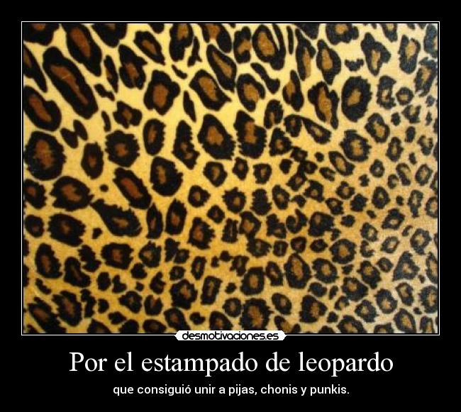Por el estampado de leopardo -