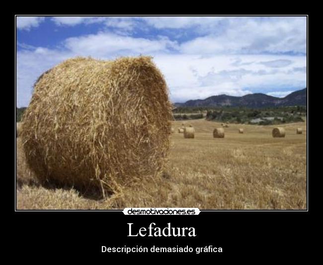 carteles lefadura levadura paja sexo porno tetas culo naruto justin bieber desmotivaciones