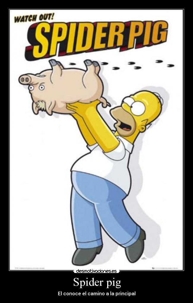 Spider pig - 