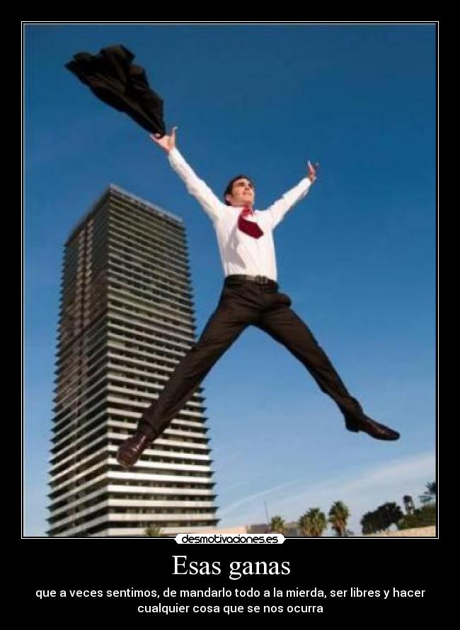 carteles liberacion desmotivaciones