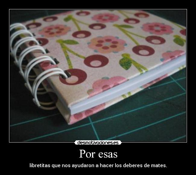 Por esas - libretitas que nos ayudaron a hacer los deberes de mates.