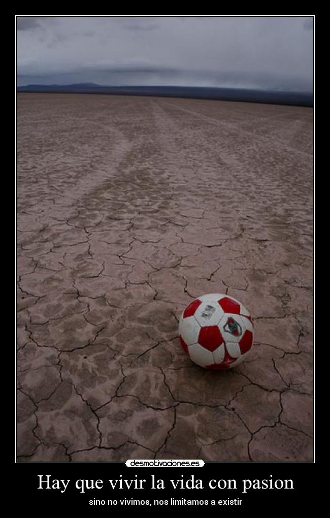 Hay que vivir la vida con pasion - sino no vivimos, nos limitamos a existir