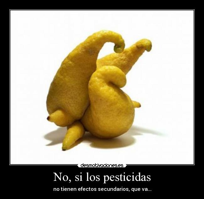 No, si los pesticidas - 
