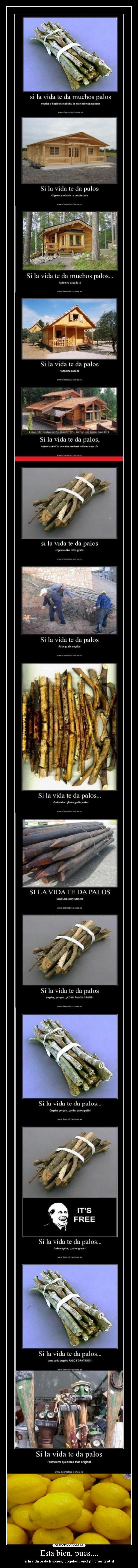 Esta bien, pues.... - si la vida te da limones, ¡cogelos coño! ¡limones gratis!