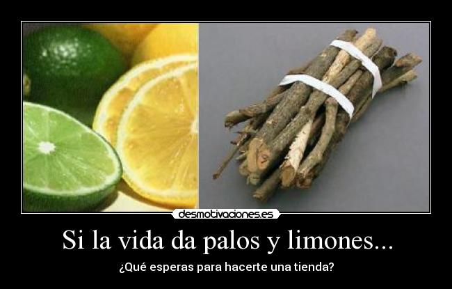 Si la vida da palos y limones... - ¿Qué esperas para hacerte una tienda?