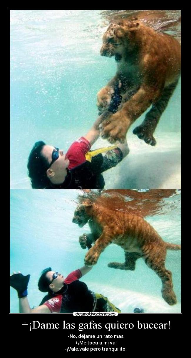 +¡Dame las gafas quiero bucear! - -No, déjame un rato mas
+¡Me toca a mi ya!
-¡Vale,vale pero tranquilito!