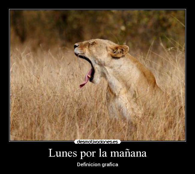 Lunes por la mañana -
