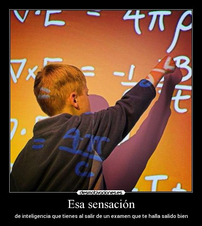 carteles inteligencia desmotivaciones