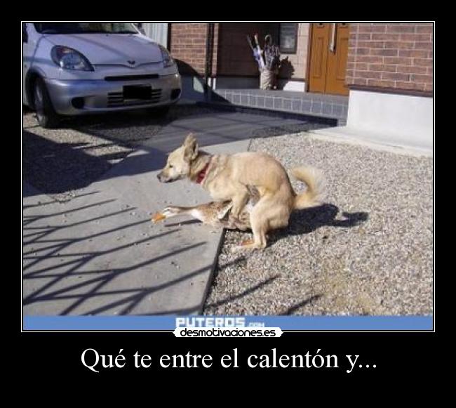 Qué te entre el calentón y... -
