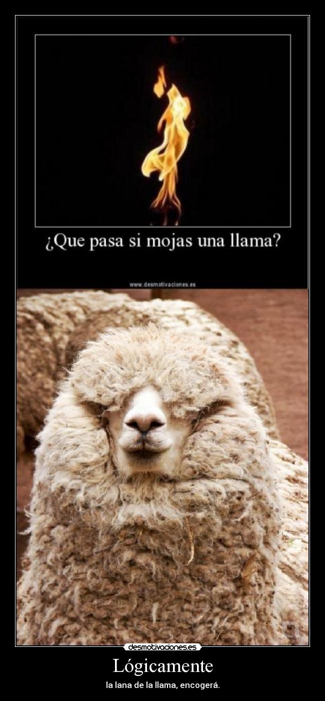 carteles llama mojar desmotivaciones