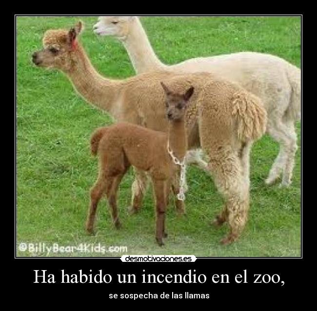 Ha habido un incendio en el zoo, - 