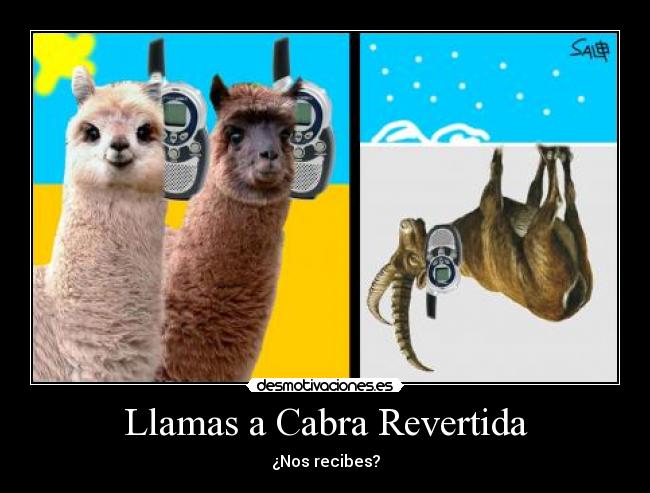 carteles llamas cabra revertida nos recibes sexo tetas culo porno xxx naruto justin bieber desmotivaciones