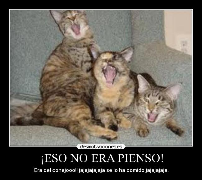 ¡ESO NO ERA PIENSO! - Era del conejooo!! jajajajajaja se lo ha comido jajajajaja.