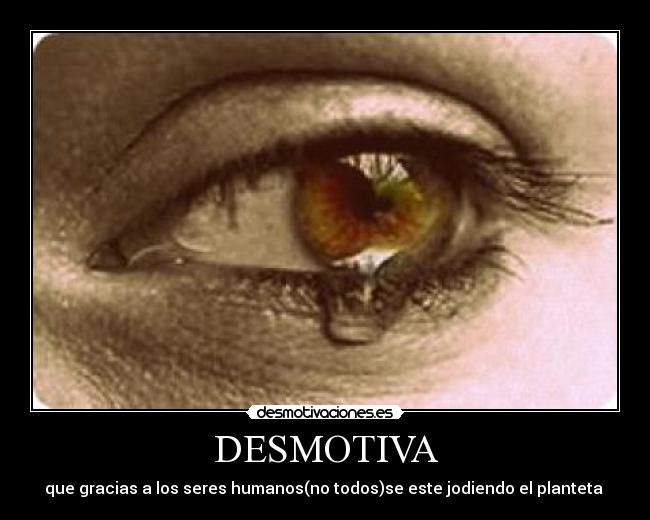 DESMOTIVA - 