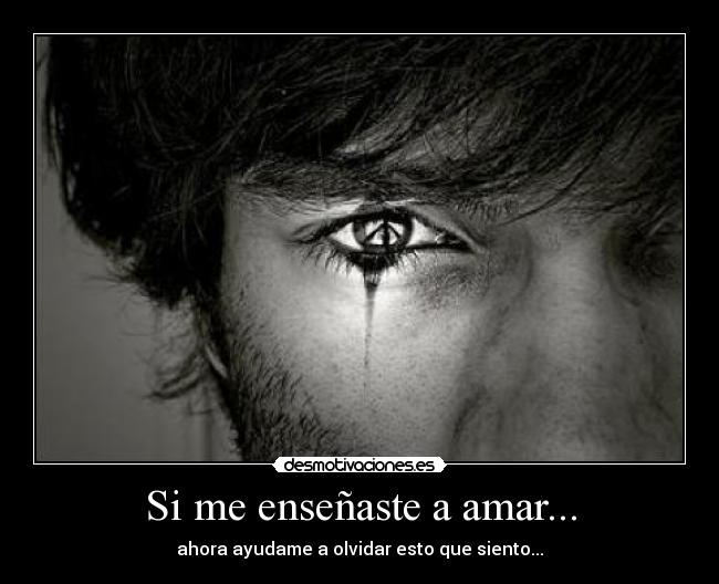 Si me enseñaste a amar... - 