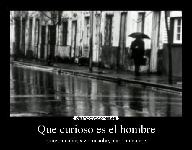 Que curioso es el hombre - 