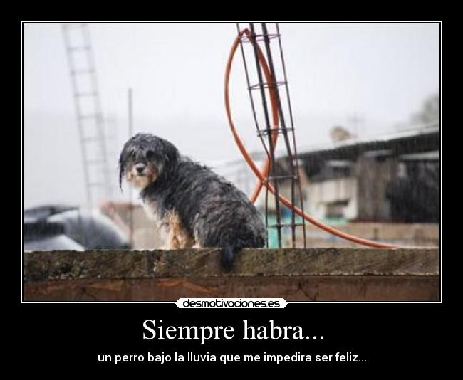 Siempre habra... - 
