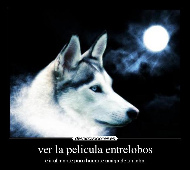 ver la pelicula entrelobos - 