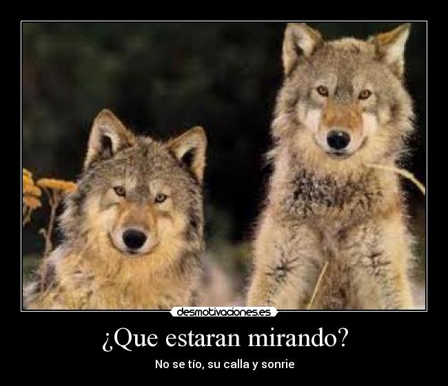 ¿Que estaran mirando? - No se tío, su calla y sonrie