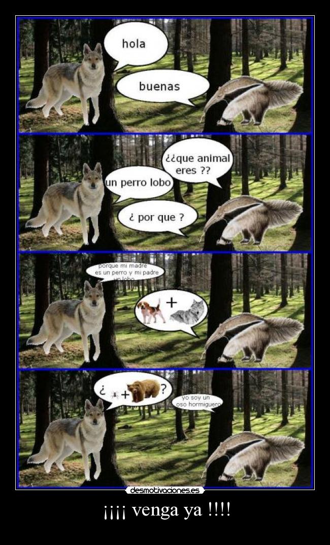 ¡¡¡¡ venga ya !!!! -