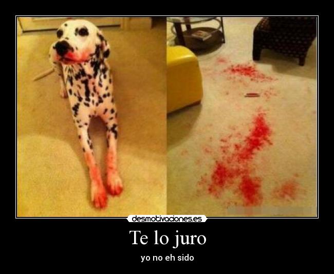 Te lo juro - yo no eh sido