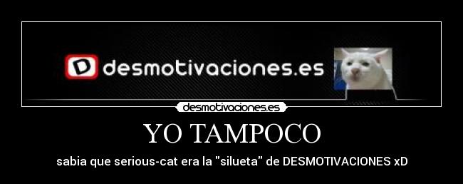YO TAMPOCO - sabia que serious-cat era la silueta de DESMOTIVACIONES xD