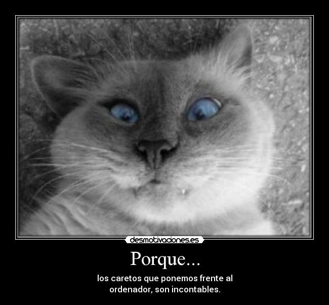 Porque... -