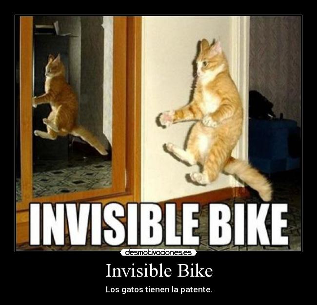 Invisible Bike - Los gatos tienen la patente.