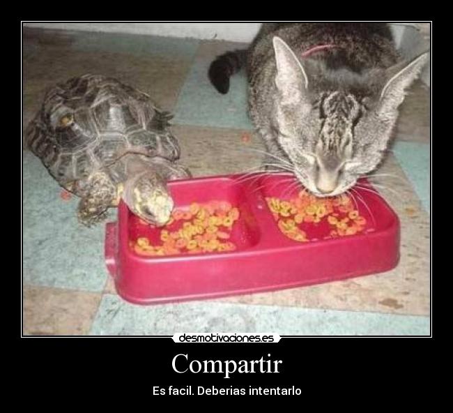 Compartir -