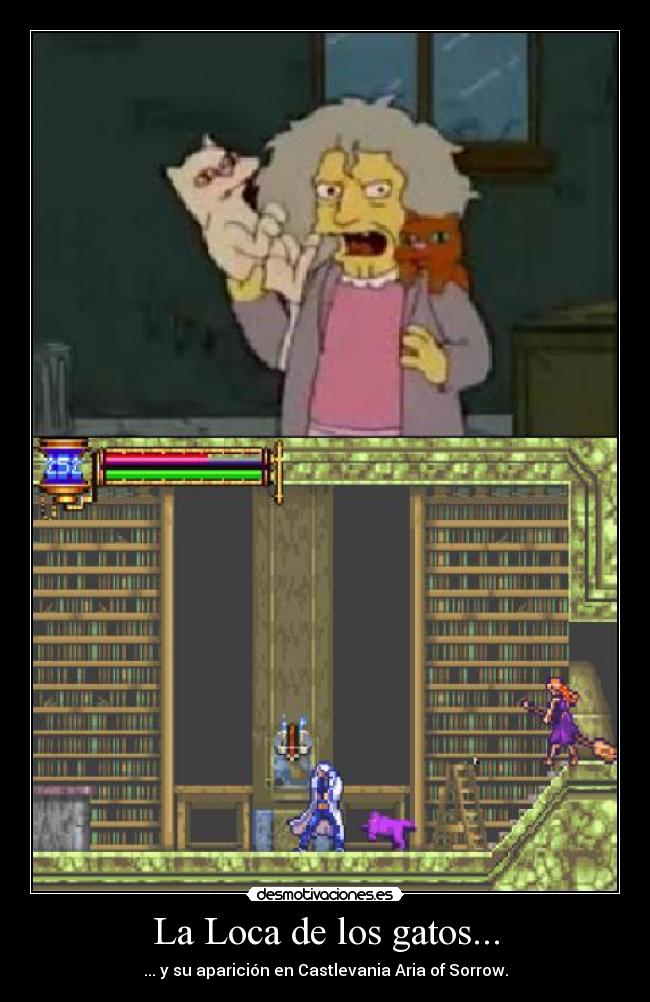 La Loca de los gatos... - 