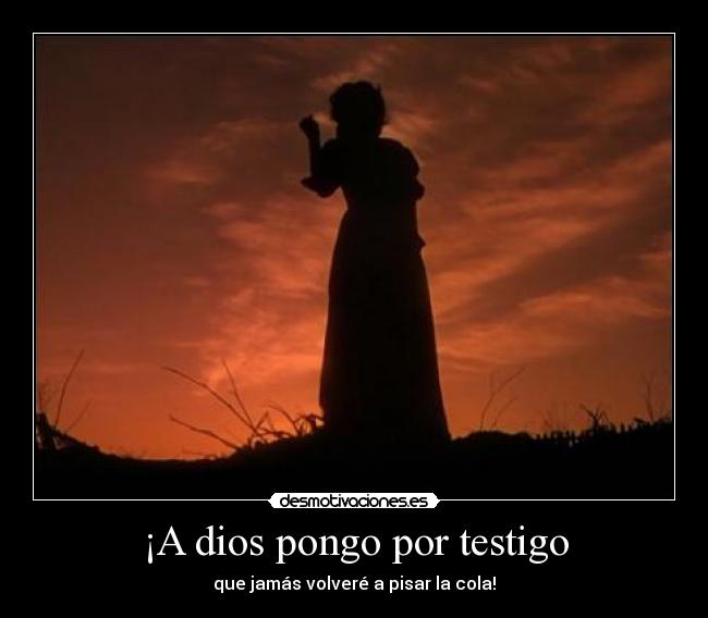 ¡A dios pongo por testigo - que jamás volveré a pisar la cola!