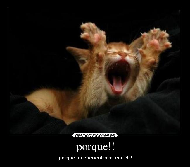 porque!! - 