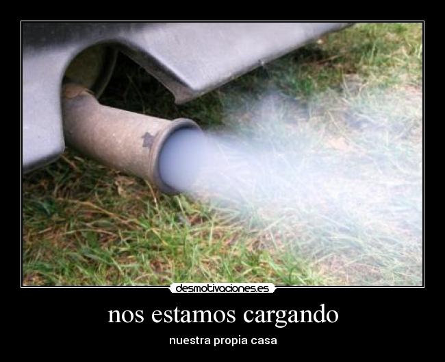 nos estamos cargando -