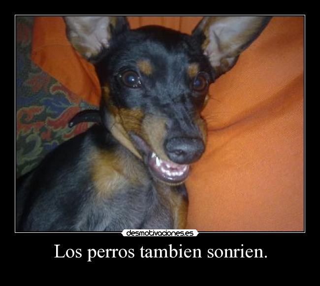 Los perros tambien sonrien. - 