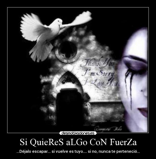 Si QuieReS aLGo CoN FuerZa - ...Déjalo escapar... si vuelve es tuyo.... si no, nunca te perteneció...