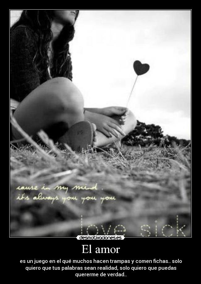 El amor - 
