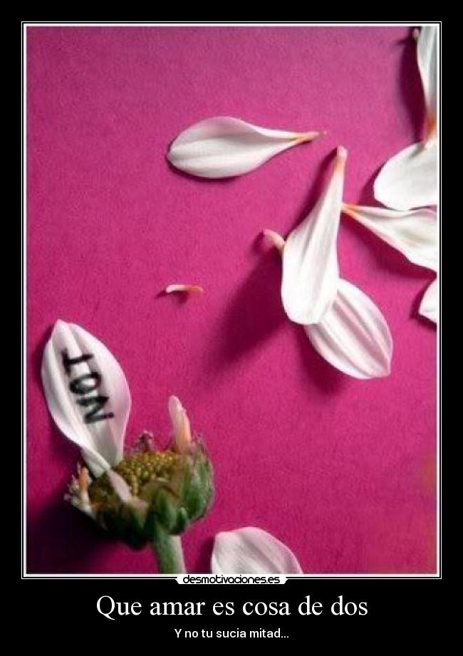 Que amar es cosa de dos - Y no tu sucia mitad...