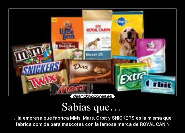 Sabias que… - ...la empresa que fabrica MMs, Mars, Orbit y SNICKERS es la misma que
fabrica comida para mascotas con la famosa marca de ROYAL CANIN