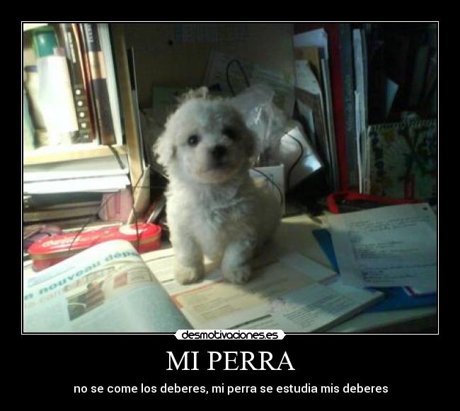 MI PERRA - no se come los deberes, mi perra se estudia mis deberes