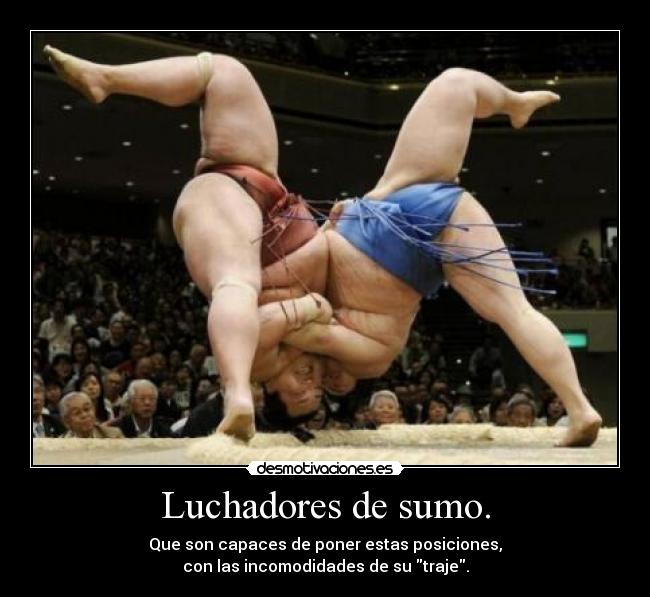 Luchadores de sumo. - 