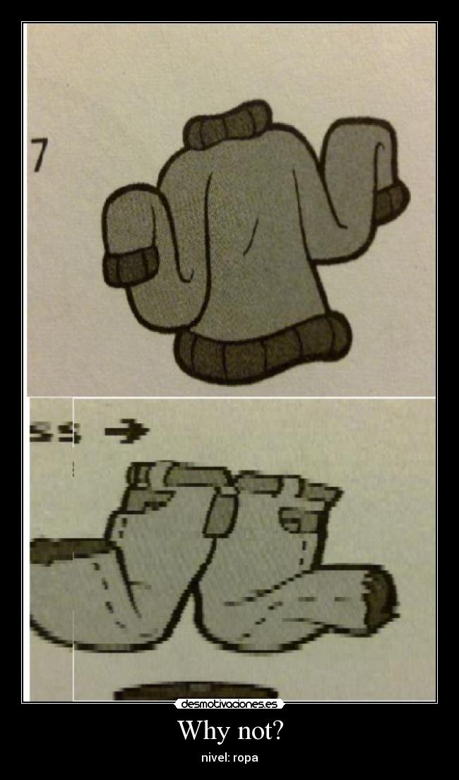 Why not? - nivel: ropa