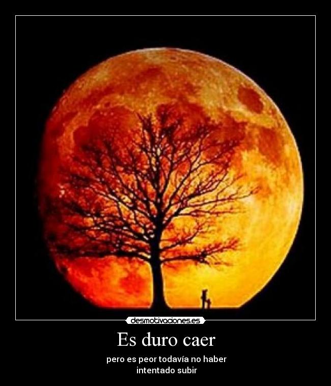 carteles luna roja desmotivaciones