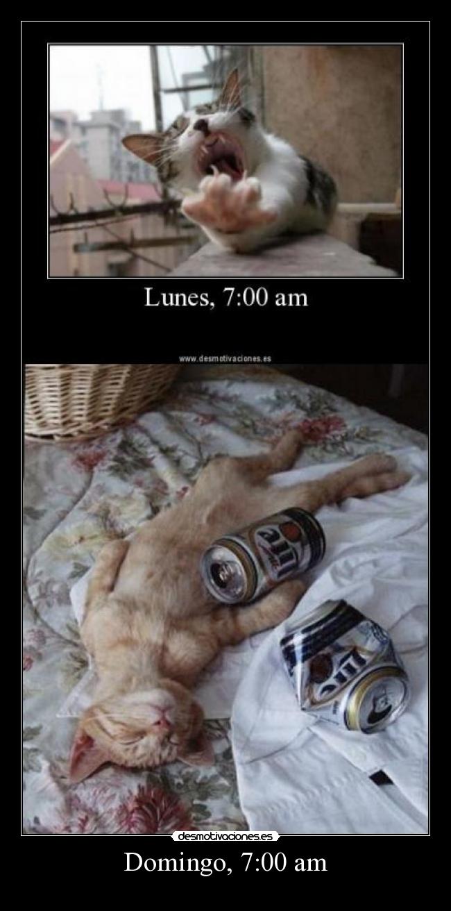 Domingo, 7:00 am -