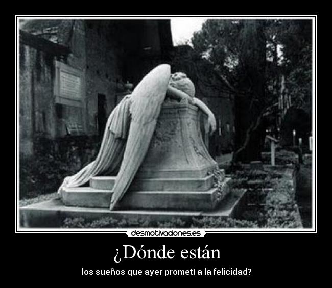 ¿Dónde están - 