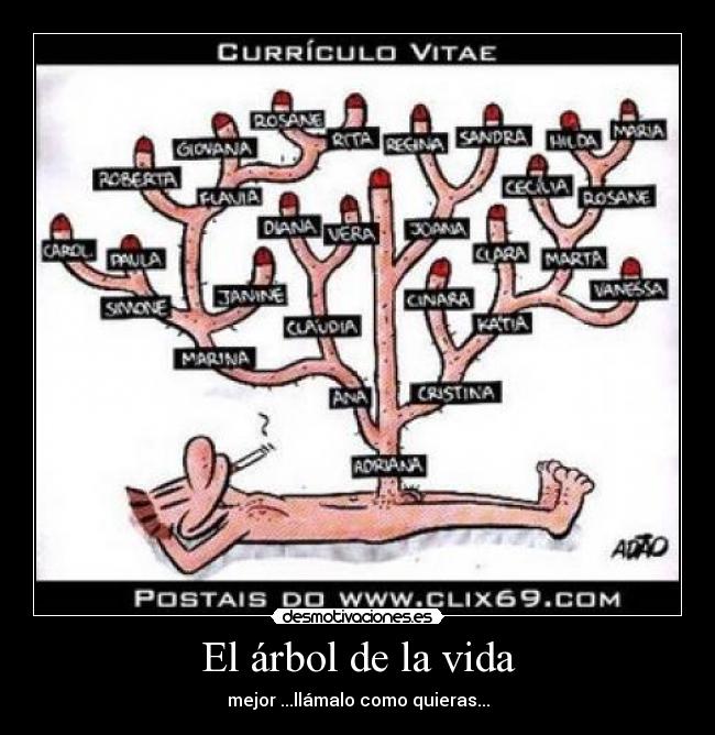 El árbol de la vida - 