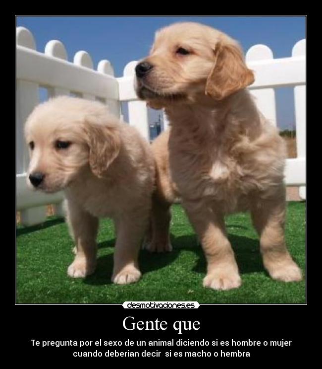 Gente que - Te pregunta por el sexo de un animal diciendo si es hombre o mujer
cuando deberian decir si es macho o hembra