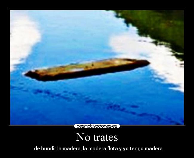 No trates - de hundir la madera, la madera flota y yo tengo madera