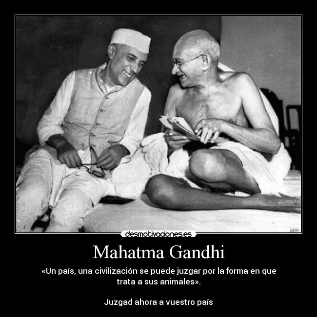 Mahatma Gandhi - «Un país, una civilización se puede juzgar por la forma en que trata a sus animales».
 
Juzgad ahora a vuestro país